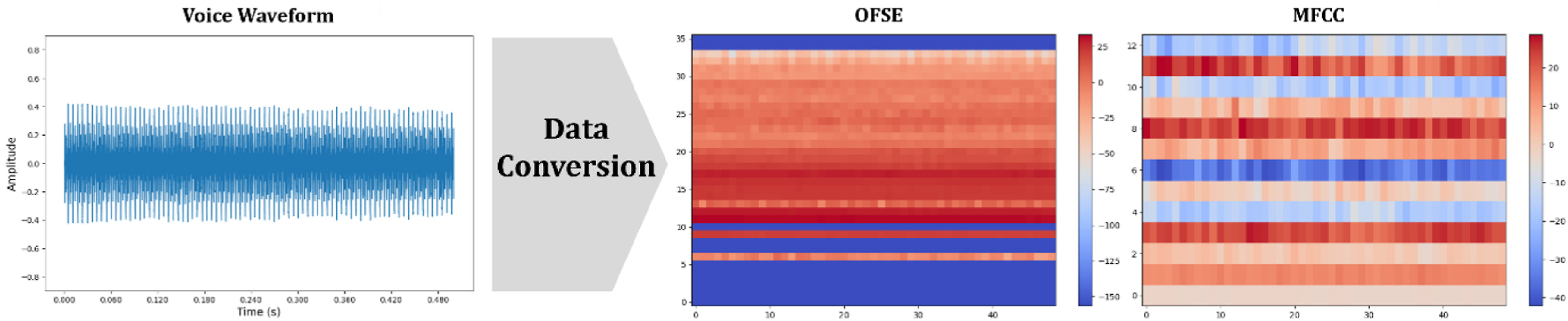 Fig. 1 Data conversion: MFCC and OFSE